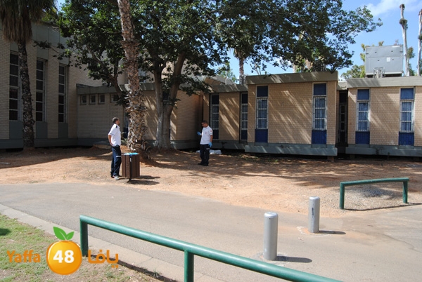 jotha dead yaffa 701 (7).JPG